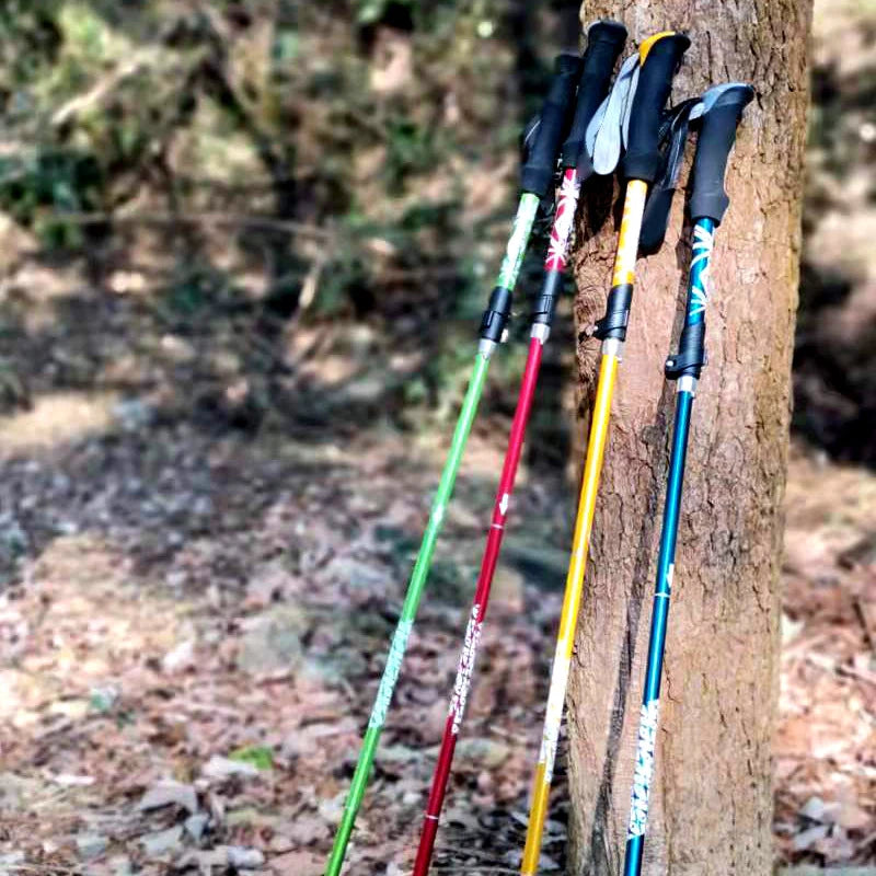 Bâton Randonnée Pliable 5 Sections - Portable Télescopique - Camp de Base Farzen